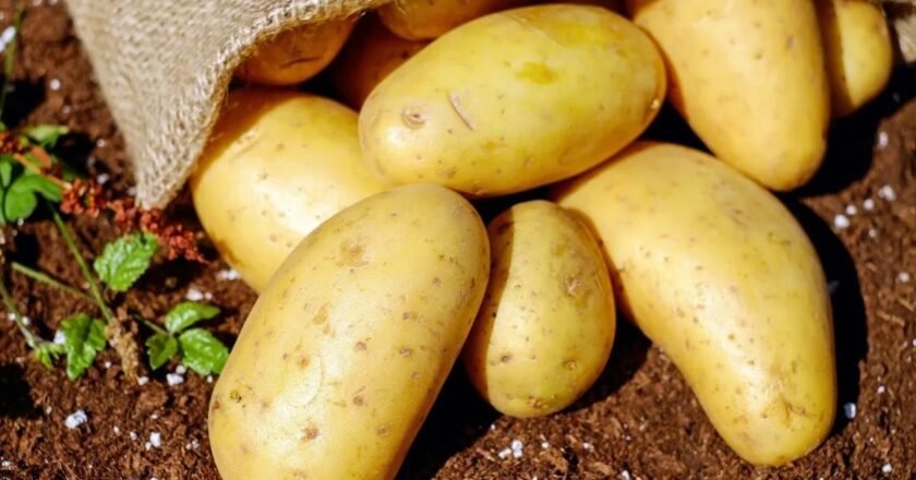 What will be the response of common people to increase the price of potatoes?