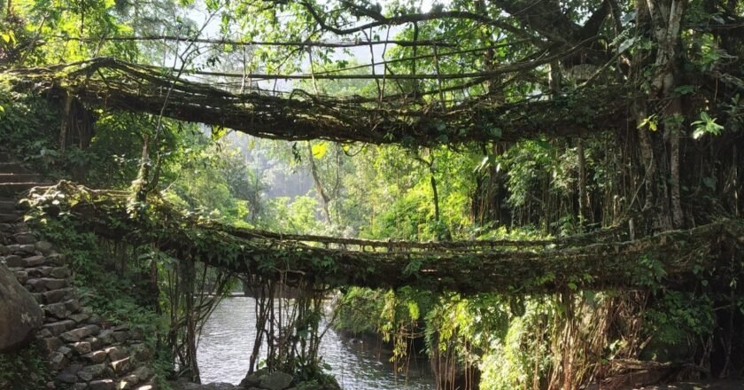 Meghalaya tourism industry condemns tourist harassment, reports heavy losses