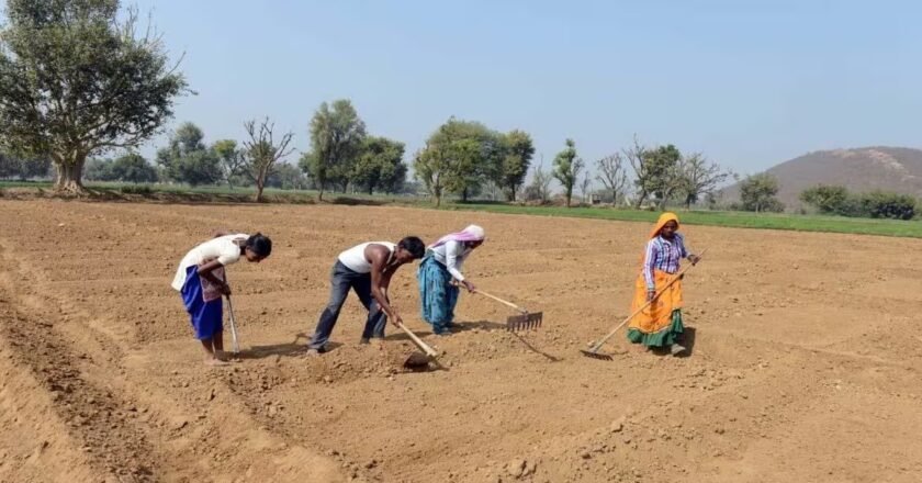 The Assam government would give over four lakh soil health cards to farmers