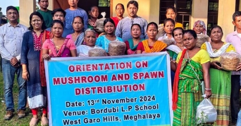 Meghalaya women trained in mushroom farming to tackle human-elephant conflict