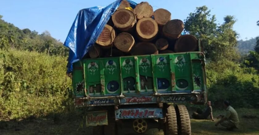 The Rani Forest Department of Assam confiscates a vehicle carrying illegal lumber