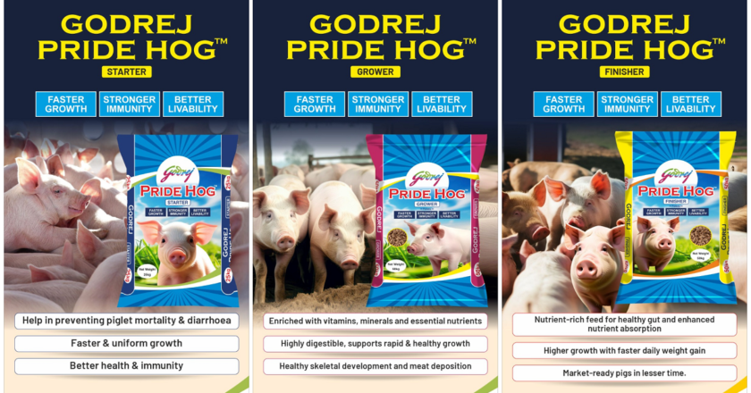 Godrej Agrovet launches Pride Hog feed: A breakthrough for sustainable pig farming in Northeast India