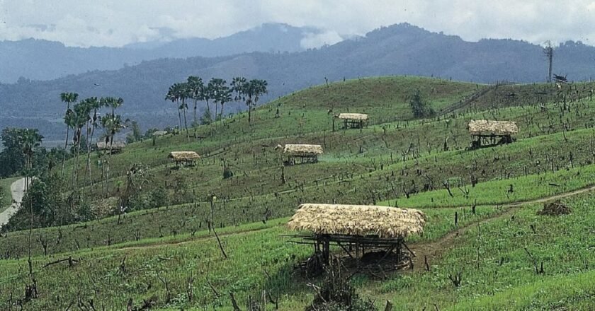 Meghalaya’s water crisis gets worse as a minister mentions jhum cultivation and climate change