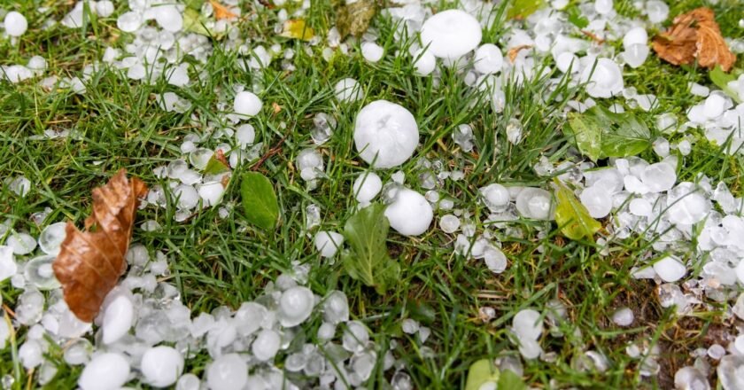 Meghalaya and its neighboring areas were lashed by heavy rain, hailstones