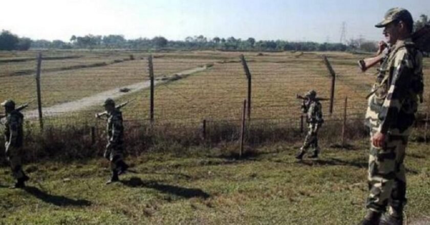 Meghalaya BSF busts Rs 6.2 crore cattle racket, 116 Bangladeshis arrested in 3 months