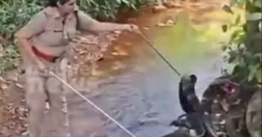 Kerala forest inspector who uses just his own strength to rescues an 18-foot king cobra