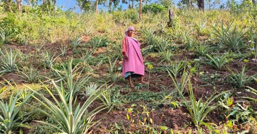 ICICI Foundation launches a large-scale agricultural initiative in Meghalaya’s Ri Bhoi district