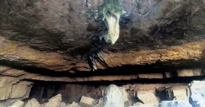 HC asks Yatra to work out security steps with DC