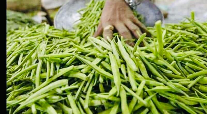 Guar seed futures prices gain on spot demand