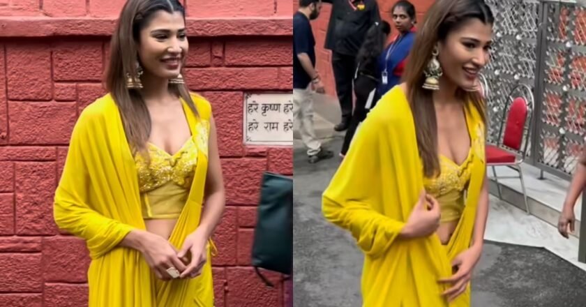 Fans Go Into Frenzy After Nehal Shares Glimpse of Bigg Boss 19 Contestant Meetup