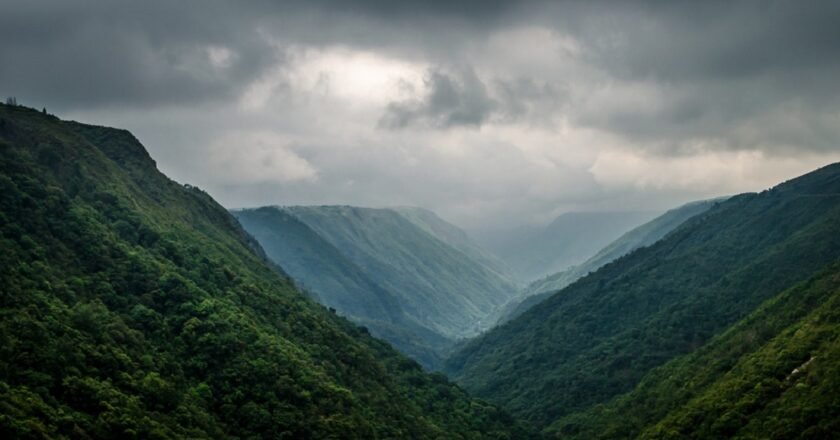 Tension rises as wood cutting banned at disputed site in East Khasi Hills