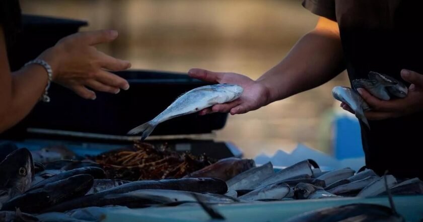 Meghalaya orders statewide testing of fish sold in markets after Assam contamination reports