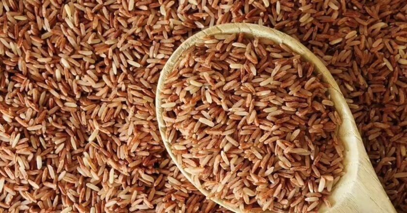 From blood sugar control to heart health: Benefits of brown rice