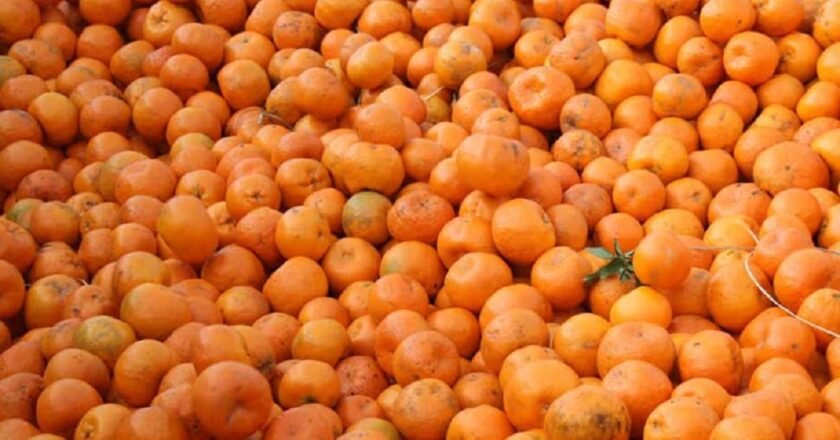 Forst monthly farmers market to be held today in Shillong