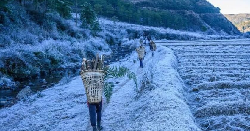 Meghalaya shivers as Mawkyrwat records -0.8°C, IMD issues fog and frost warning