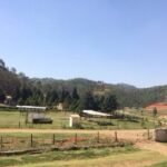 Solution near on Happy Valley-Mawshbuit land row, says Meghalaya Deputy CM