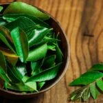 Rich in antioxidants: How curry leaves support overall wellness