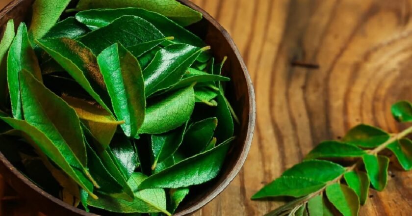 Rich in antioxidants: How curry leaves support overall wellness