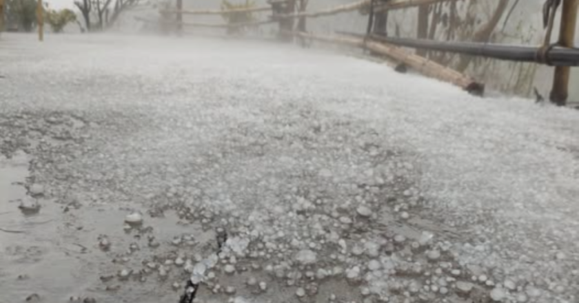 Conrad Sangma Assesses Hailstorm Damage in Tura