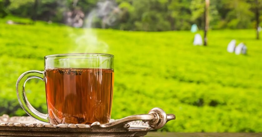 Top reasons to include tea in your daily routine