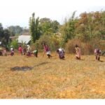 Study finds two-thirds of Jaintia Hills farmers highly vulnerable to climate change