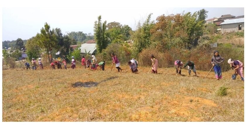 Study finds two-thirds of Jaintia Hills farmers highly vulnerable to climate change
