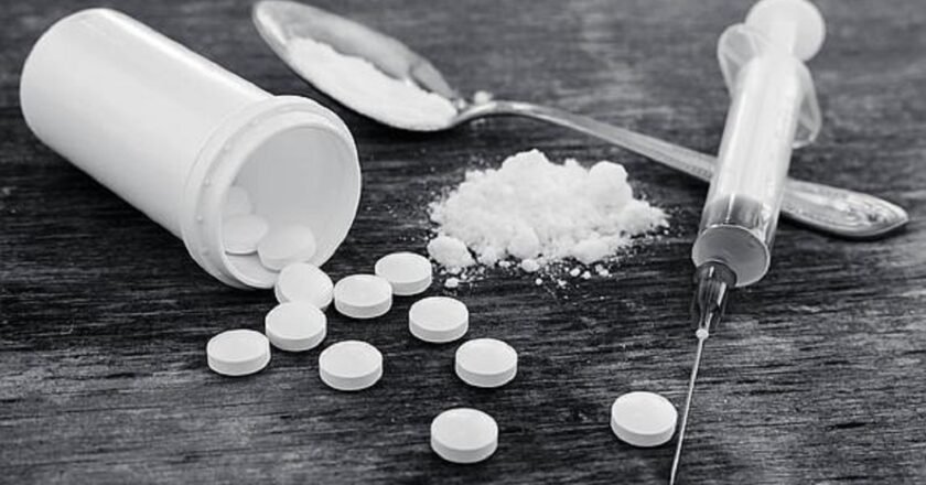 Meghalaya’s ‘DREAM’ Initiative Maps Drug-Prone Areas to Curb Trafficking