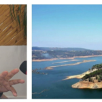 Deadlock Persists on Taj Umiam Resort Issue as Meghalaya Hunger Strike Continues