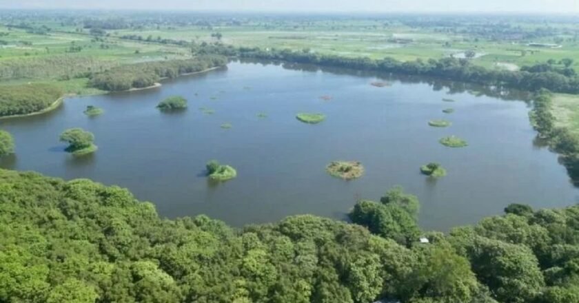 Meghalaya Gets New Push for Local Biodiversity Management Under MoEFCC-NBA Project