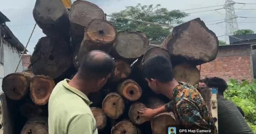 No More Timber Mafia: Assam Orders Immediate Seizure of Illegal Sawmills, Warns Officials of Personal Accountability
