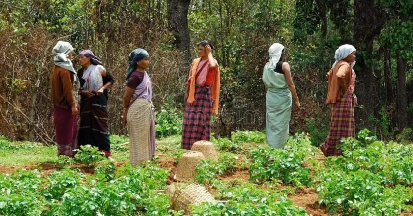 Meghalaya to host international conference on women farmers and sustainable organic agriculture