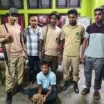 Assam Wildlife Trafficking Drive: Live Pangolin Recovered From Vehicle In LoharghatForest officials rescued a live pangolin and arrested one person during an anti-wildlife trafficking operation in Assam’s West Kamrup Forest Division, officials said.