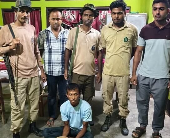 Assam Wildlife Trafficking Drive: Live Pangolin Recovered From Vehicle In LoharghatForest officials rescued a live pangolin and arrested one person during an anti-wildlife trafficking operation in Assam’s West Kamrup Forest Division, officials said.