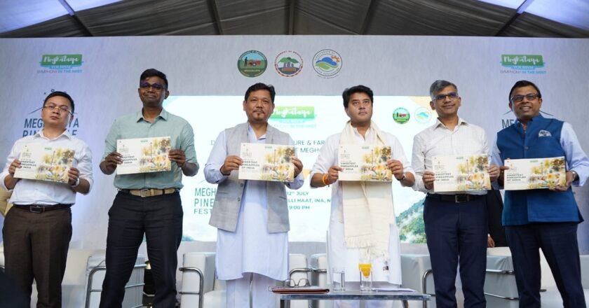 CM inaugurates 4th Pineapple Festival in Delhi