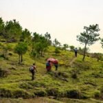 Meghalaya invites local youth to apply for Tourist Buddy Scheme