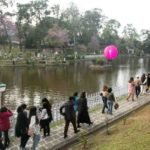 Shillong Cherry Blossom Festival 2026 moves to new venue; Khalid, Swae Lee, Boys Like Girls to headline