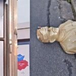 Shillong Rally Marred By Violence: Statues Of Vivekananda, Netaji Allegedly Vandalised