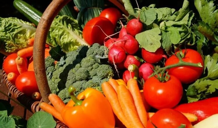 Meghalaya Enhances Food Surveillance Amid Concerns Over Energy Drinks and Expired Goods