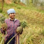 Northeast produce gets a national market push as Instamart expands sourcing