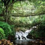 Meghalaya Unveils Community-Led, Climate-Resilient Tourism Vision on World Tourism Day