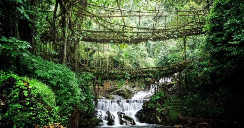 Meghalaya Unveils Community-Led, Climate-Resilient Tourism Vision on World Tourism Day