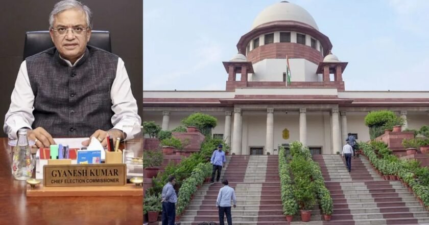 Internal Rift in EC Surfaces: Other Commissioners Objected 14 Times in 10 Months